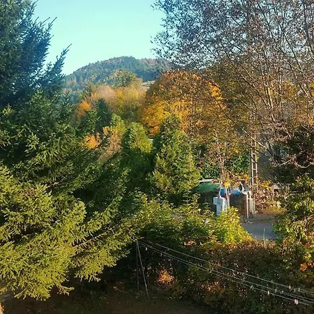 Charlannes 라루브불